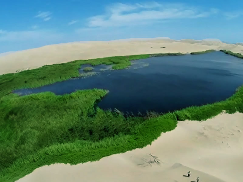 Tours Pisco - Paracas