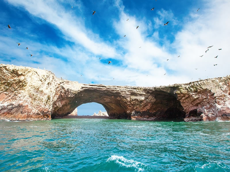 Tours Pisco - Paracas