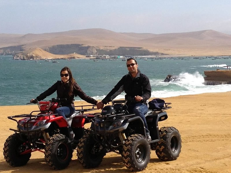 Tours Pisco - Paracas